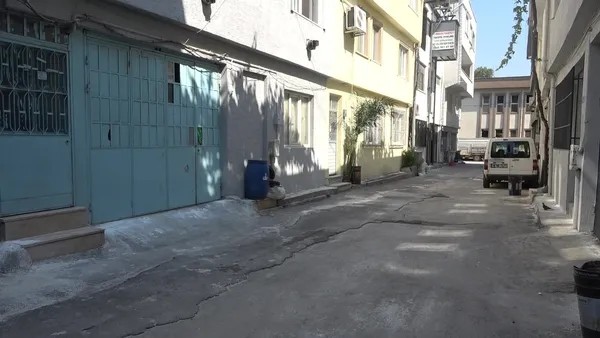 Bursa’da Korkutan Pire Alarmı! Ekipler Harekete Geçti
